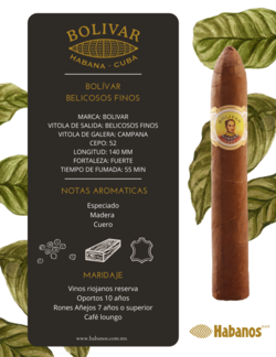 BOLIVAR BELICOSOS FINOS