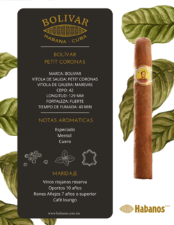 BOLIVAR PETIT CORONAS