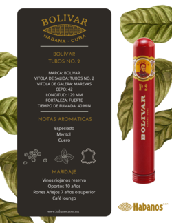 BOLIVAR TUBOS NO. 2