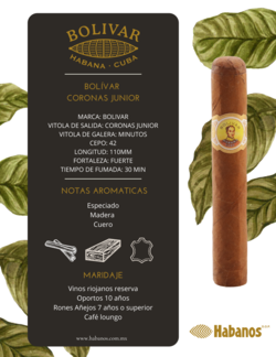 Bolivar coronas Junior