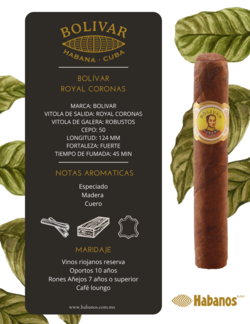Bolivar royal coronas