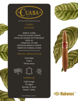 CUABA DIVINOS