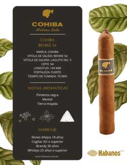 Cohiba BHK 54
