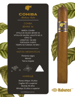 Cohiba BHK 56