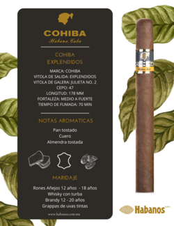 Cohiba Explendidos