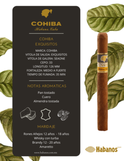 Cohiba Exquisitos