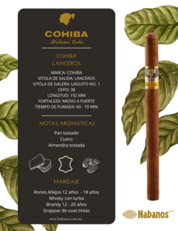 Cohiba Lanceros