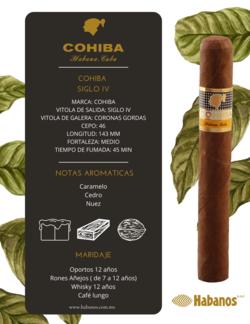 Cohiba siglo IV