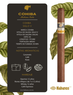 Cohiba siglo V