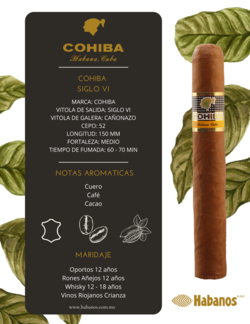 Cohiba siglo VI