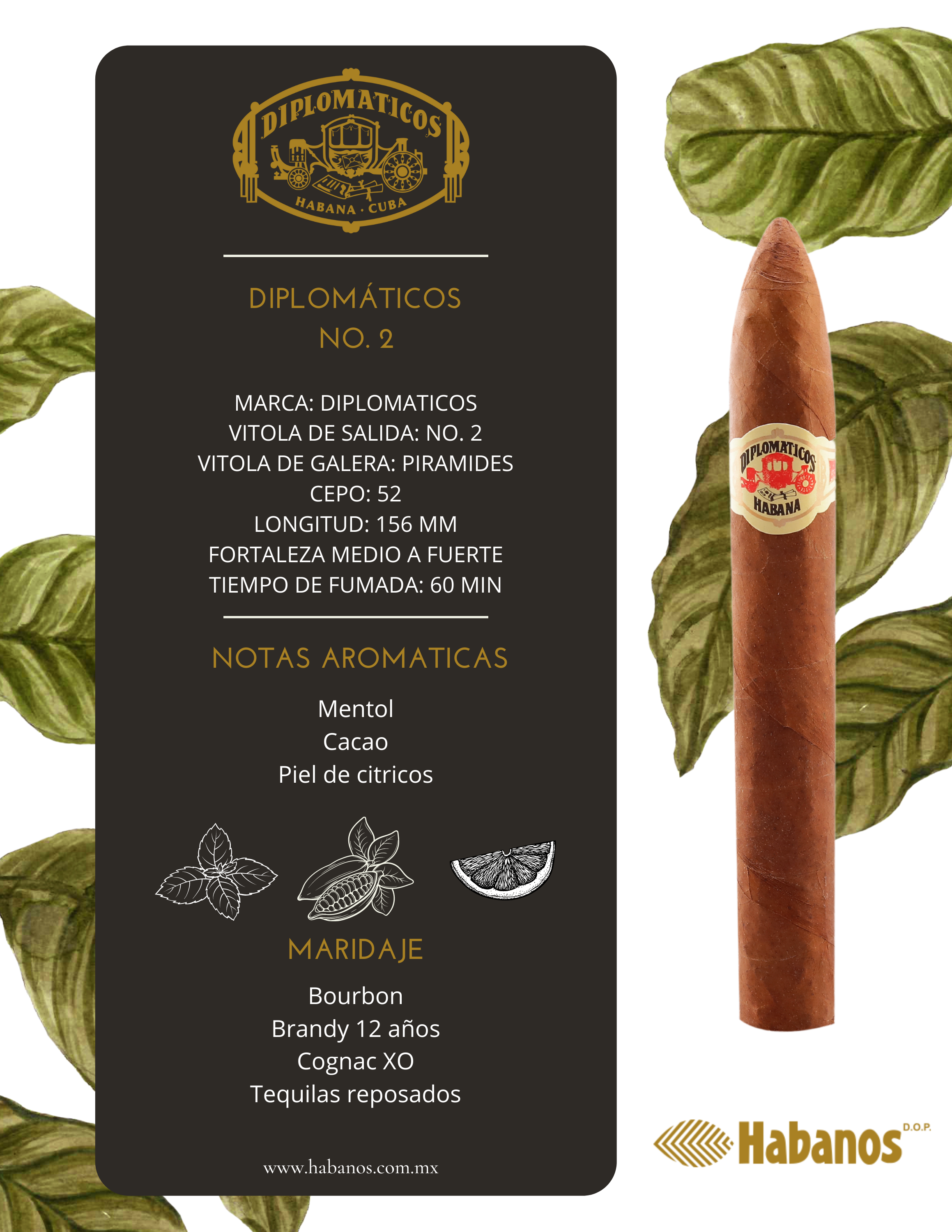 Diplomáticos No. 2